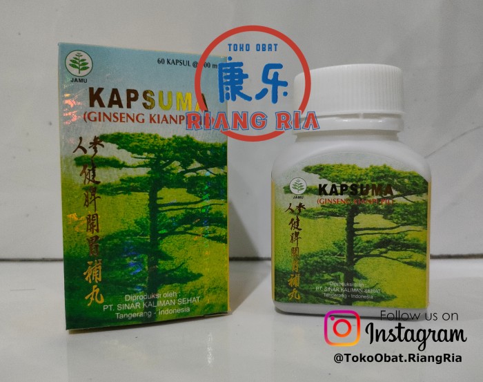 GINSENG KIANPI PIL - KAPSUMA penggemuk badan - penambah nafsu makan