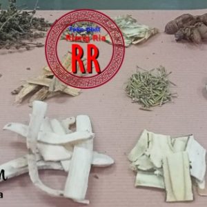Ramuan Herbal untuk Alergi dan Gatal-gatal