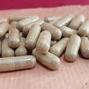 Kapsul Bubuk Obat Cacing Tanah – Obat Tipes Typhus Thipus (10 kapsul)
