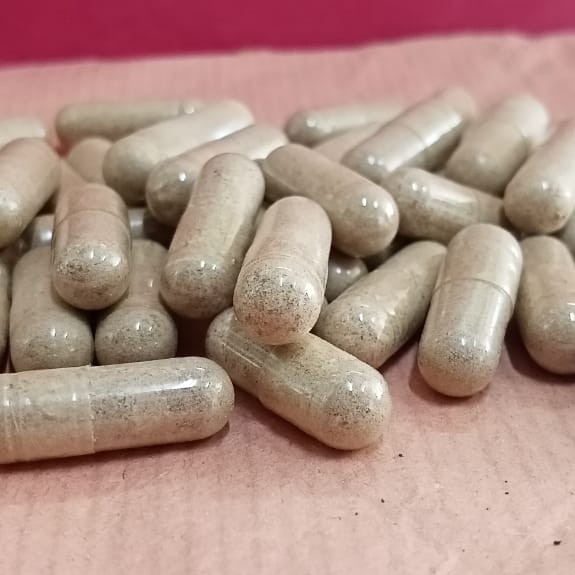 Kapsul Bubuk Obat Cacing Tanah - Obat Tipes Typhus Thipus (10 kapsul)