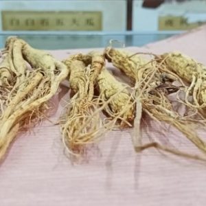 Ginseng Cina – 1 nio / 37gr