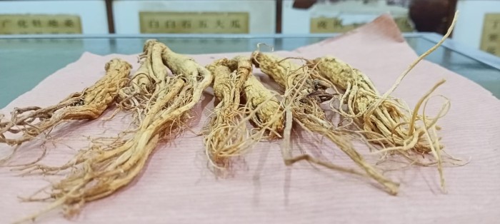Ginseng Cina - 1 nio / 37gr