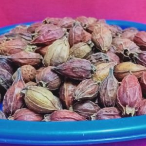 100 GR SHAN ZHI ZI GARDENIA FRUIT