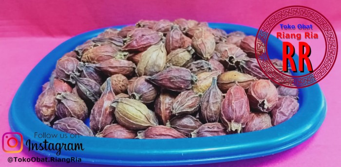 100 GR SHAN ZHI ZI GARDENIA FRUIT