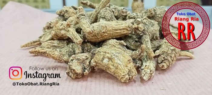 Ginseng Amerika Tua Utuh - Yosem Tua Utuh (nett 3.7gram)