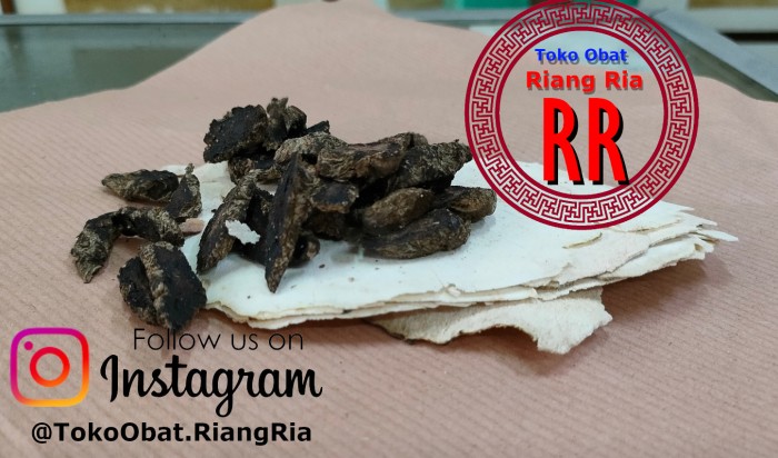 Sheng Di Tu Fu - Ramuan penyembuh alergi/gatal pada anak2