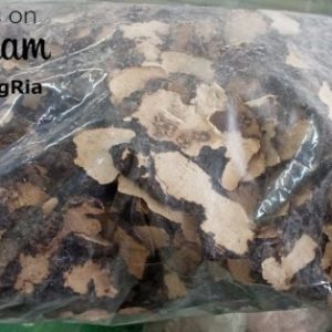 Zhu Ling pian polyporus sclerotium 1kati / 600gram