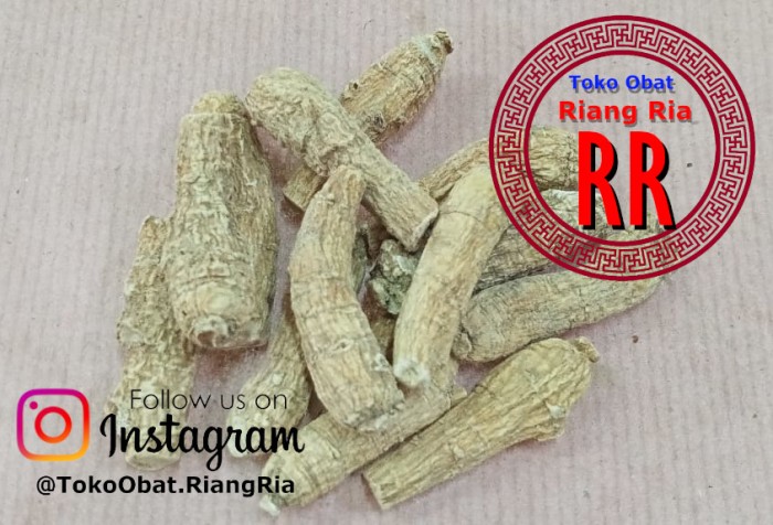 Ginseng Amerika Muda Utuh - Yosem Muda Utuh - (nett 3.7gram)