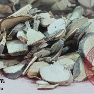 600GR GRAM ZOU MA TAI ARDISIA ROOT