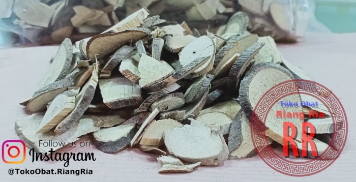 600GR GRAM ZOU MA TAI ARDISIA ROOT