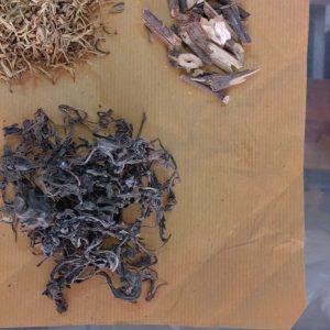 Ramuan Herbal untuk Alergi disertai nanah