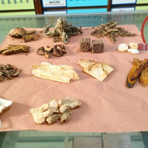 Shi San Thai Pao – Ramuan Herbal Penguat Kandungan